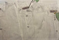 Embroidered Mandarin Shirt - Long Sleeve